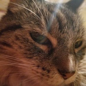 Meet your Posher, Carter